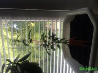 IMG_3984.jpg IMG_3984.jpg