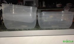 20160613_172444.jpg