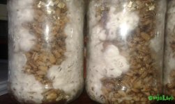 20160614_171818.jpg