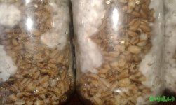 20160614_171831.jpg