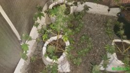 20160614_143451.jpg
