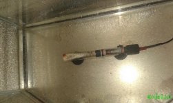 20160616_185137.jpg