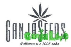 ganjaseeds.org.jpg