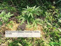 екс 2 18.06....jpg