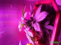 20160617_171131.jpg