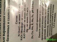 IMG_4508.JPG IMG_4508.JPG
