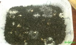 20160622_154112.jpg