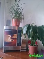 IMG_20160623_111657.jpg