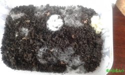 20160623_114334.jpg