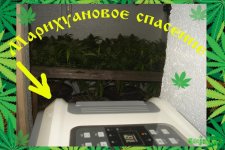 День 136..Цвет день 48.4.jpg