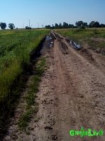 IMG_20160625_093038.jpg