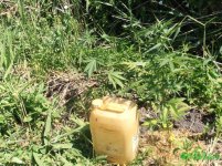 екс 2 (2 шт).jpg