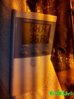 IMG_20160626_171148.jpg