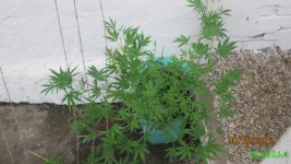 IMG_6821.JPG