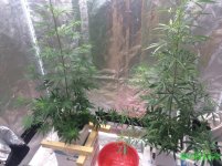 IMG_4928.JPG