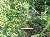 екс1 поздний.jpg