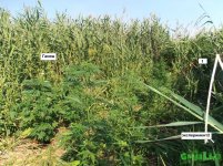 ДЛЯ РЕПОРТА ВСЕ.jpg