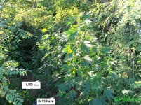 женька и лсд.jpg