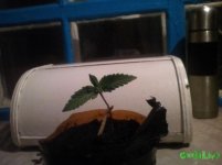 97737d1e4669fb19f0a0498974db23d3_nasimke_ru.jpg