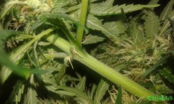 20160710_171207.jpg