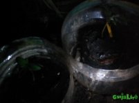IMG_20160713_005431.jpg