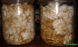 20160714_113921.jpg