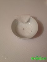 IMG_0064.JPG