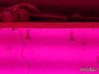 20160723_201747.jpg