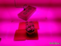 20160723_201752.jpg