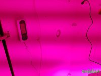 20160723_201755(0).jpg