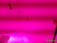 20160723_201758.jpg
