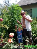 IMG_20160724_114818.jpg