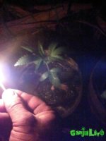 IMG_20160728_034259.jpg