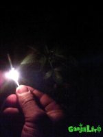 IMG_20160728_034305.jpg