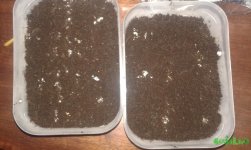 20160729_030445.jpg