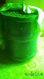 IMG_20160728_162658_1.jpg