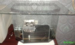 20160730_031301.jpg