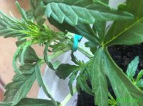 день 20 пол 2 (2).jpg