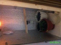 IMG_3491.JPG