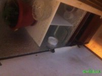 IMG_3493.JPG