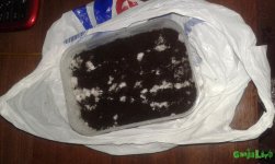 20160731_042046.jpg