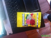 IMG_3515.JPG