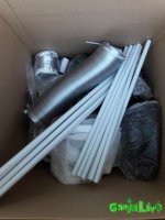 2016-07-30 19.40.32.jpg