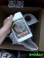 2016-07-30 19.42.44.jpg