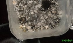 20160803_202634.jpg