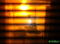 IMG_3524.JPG