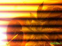 IMG_3523.JPG