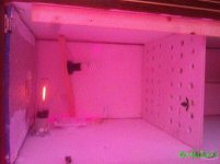IMG_3546.JPG