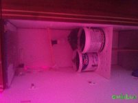IMG_3549.JPG