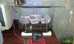 20160804_193148.jpg